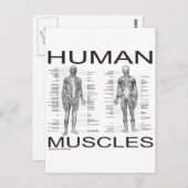 Carte Postale Muscles humains et anatomie (Devant / Derrière)