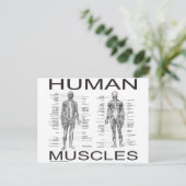 Carte Postale Muscles humains et anatomie (Debout devant)