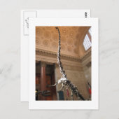 Carte Postale Musée américain d'histoire naturelle, New York (Devant / Derrière)