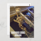 Carte Postale Musée australien à Sydney Australie (Devant / Derrière)