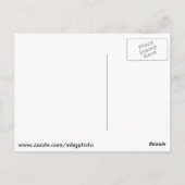 Carte Postale Musée d'art de Saint-Louis (Dos)