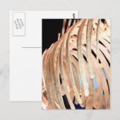 Carte Postale Musée des sciences naturelles de Houston (Devant / Derrière)