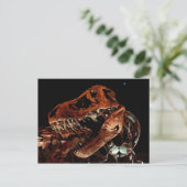 Carte Postale Musée des sciences naturelles de Houston (Debout devant)