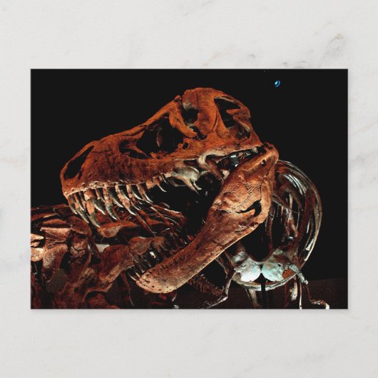 Carte Postale Musée des sciences naturelles de Houston (Devant)