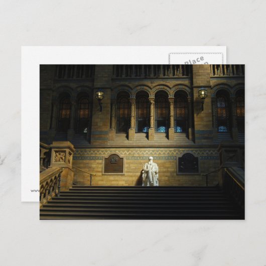 Carte Postale Musée d'histoire naturelle (Devant / Derrière)