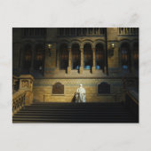 Carte Postale Musée d'histoire naturelle (Devant)