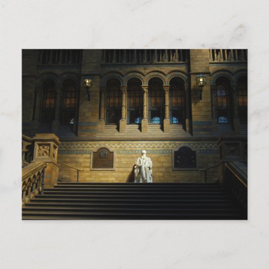 Carte Postale Musée d'histoire naturelle (Devant)