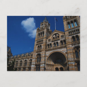 Carte Postale Musée d'histoire naturelle