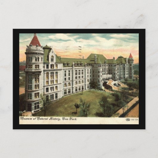 Carte Postale Musée d'histoire naturelle, New York City 1910 Vin (Devant)