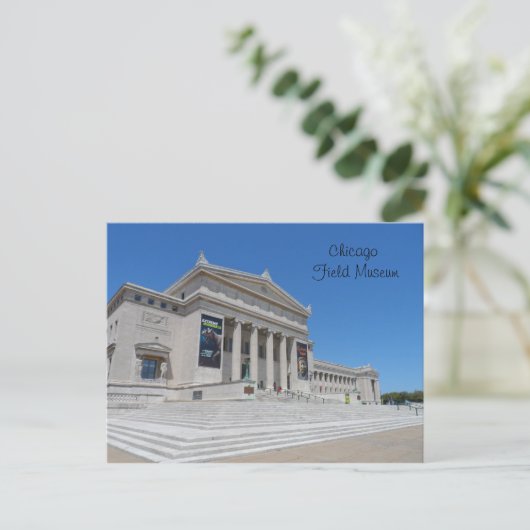 Carte Postale Musée Field de Chicago (Debout devant)