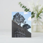 Carte Postale musei vatacani (Debout devant)