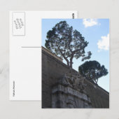 Carte Postale musei vatacani (Devant / Derrière)