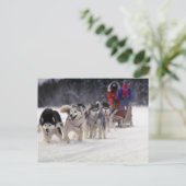 Carte Postale Mush (Debout devant)