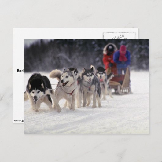 Carte Postale Mush (Devant / Derrière)