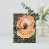 Carte Postale Mushroom in the Forest (Debout devant)