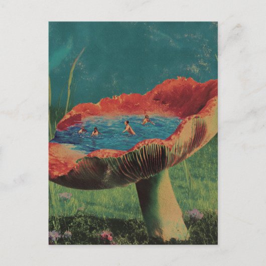 Carte Postale Mushroom Swimming Pool (Devant)