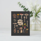Carte Postale Mushrooms sauvages (Debout devant)