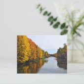 Carte Postale Muskoka (Debout devant)