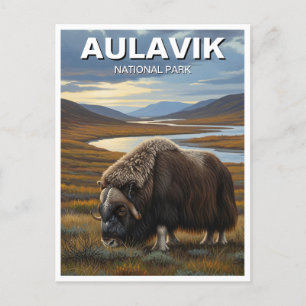 Carte Postale Muskox dans le parc national Aulavik Canada