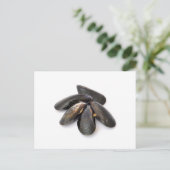Carte Postale Mussel (Debout devant)