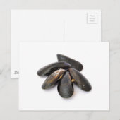 Carte Postale Mussel (Devant / Derrière)