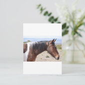 Carte Postale Mustang (Debout devant)