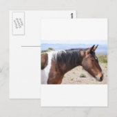 Carte Postale Mustang (Devant / Derrière)