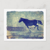 Carte Postale Mustang Gallops Sur La Plage (Devant)