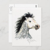 Carte postale Mustang Horse (Devant / Derrière)