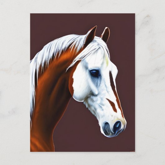 Carte postale Mustang Horse (Devant)