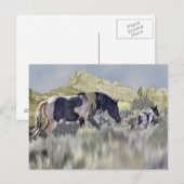 Carte Postale Mustang Mare sauvage et poulain (Devant / Derrière)