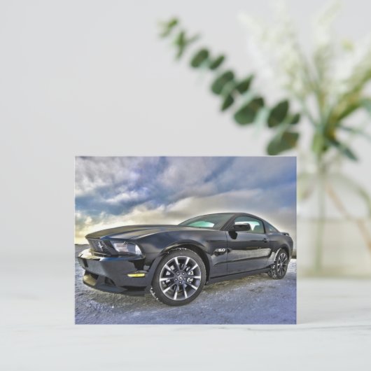 Carte Postale Mustang postcard (Debout devant)