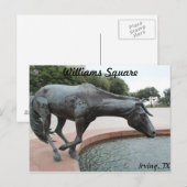 Carte Postale Mustangs de Las Colinas # 1 (Devant / Derrière)