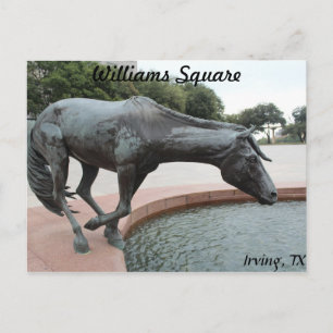 Carte Postale Mustangs de Las Colinas # 1