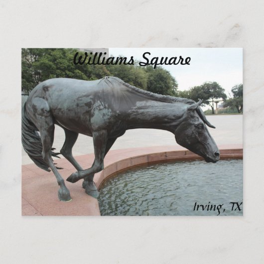 Carte Postale Mustangs de Las Colinas # 1 (Devant)