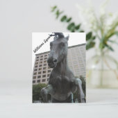 Carte Postale Mustangs de Las Colinas # 17 (Debout devant)
