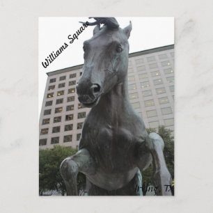 Carte Postale Mustangs de Las Colinas # 17