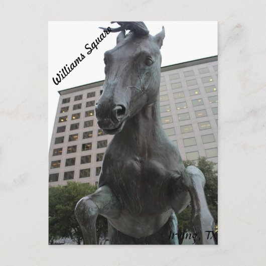 Carte Postale Mustangs de Las Colinas # 17 (Devant)