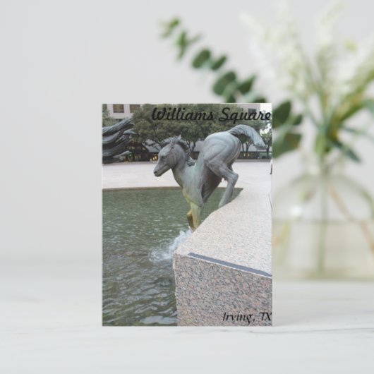 Carte Postale Mustangs de Las Colinas # 18 (Debout devant)