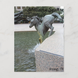 Carte Postale Mustangs de Las Colinas # 18