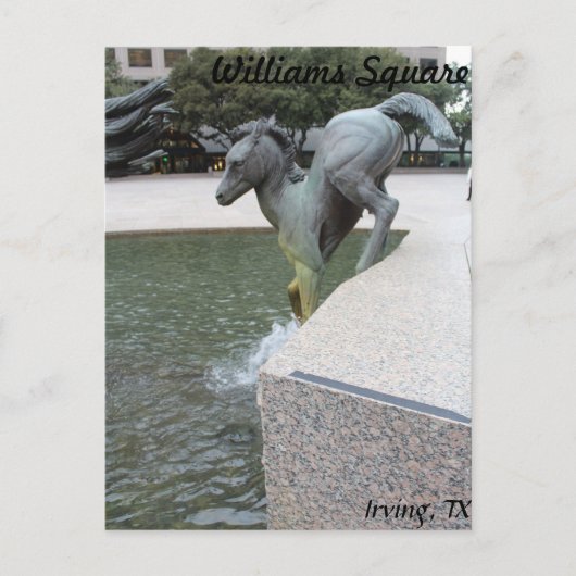 Carte Postale Mustangs de Las Colinas # 18 (Devant)