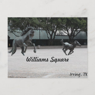 Carte Postale Mustangs de Las Colinas # 19