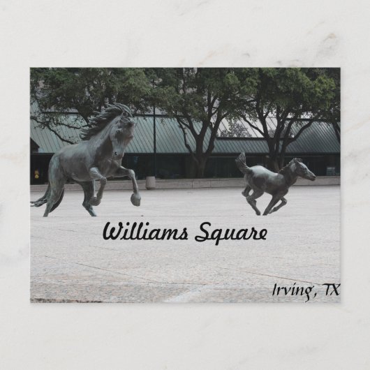 Carte Postale Mustangs de Las Colinas # 19 (Devant)
