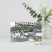 Carte Postale Mustangs de Las Colinas # 21 (Debout devant)