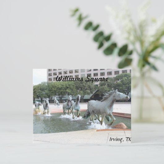 Carte Postale Mustangs de Las Colinas # 21 (Debout devant)