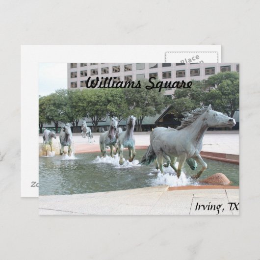 Carte Postale Mustangs de Las Colinas # 21 (Devant / Derrière)