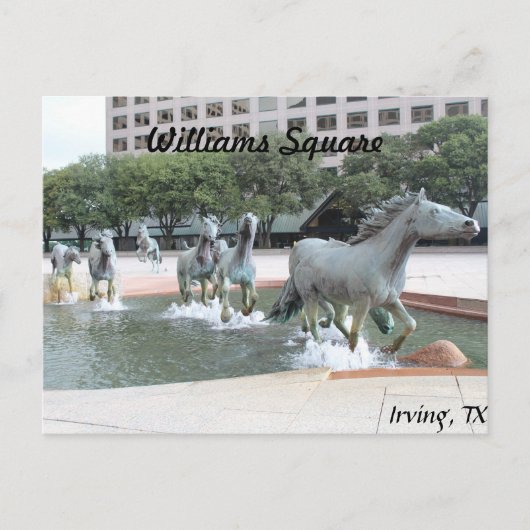 Carte Postale Mustangs de Las Colinas # 21 (Devant)