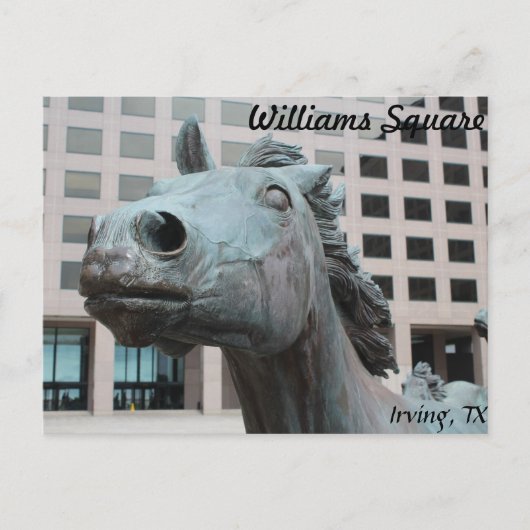 Carte Postale Mustangs de Las Colinas # 22 (Devant)