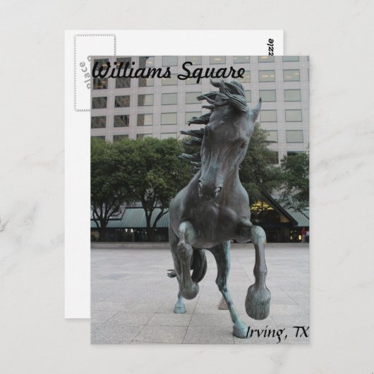 Carte Postale Mustangs de Las Colinas # 25 (Devant / Derrière)