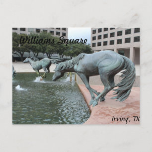 Carte Postale Mustangs de Las Colinas # 28